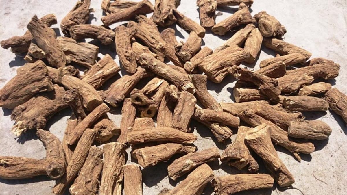 القسط الهندي